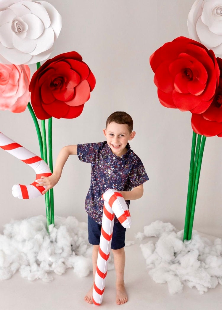 CHRISTMAS Liberty boy shirt button down